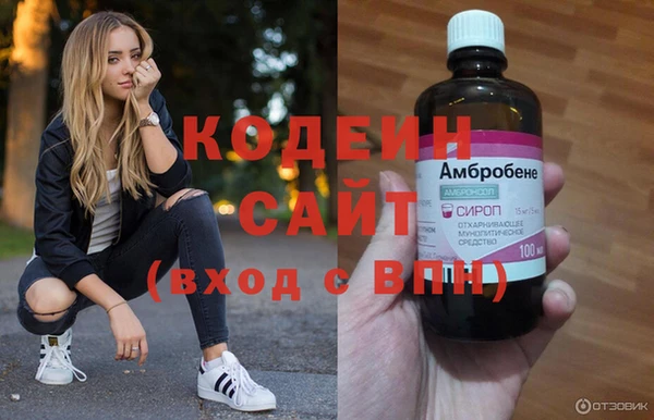 индика Магас