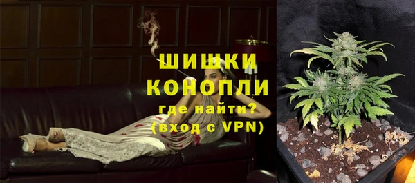индика Липки