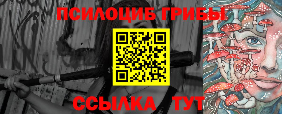 Галлюциногенные грибы Psilocybe Туапсе