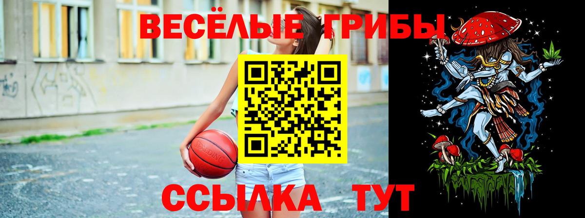Псилоцибиновые грибы Psilocybe  Вход с VPN  Псилоцибиновые грибы Psilocybe  Туапсе 